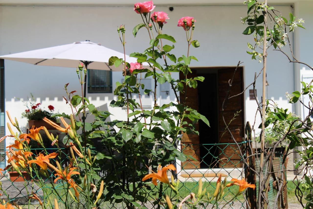 Il Casolare Del Medio Olona Bed and Breakfast Fagnano Olona Eksteriør billede