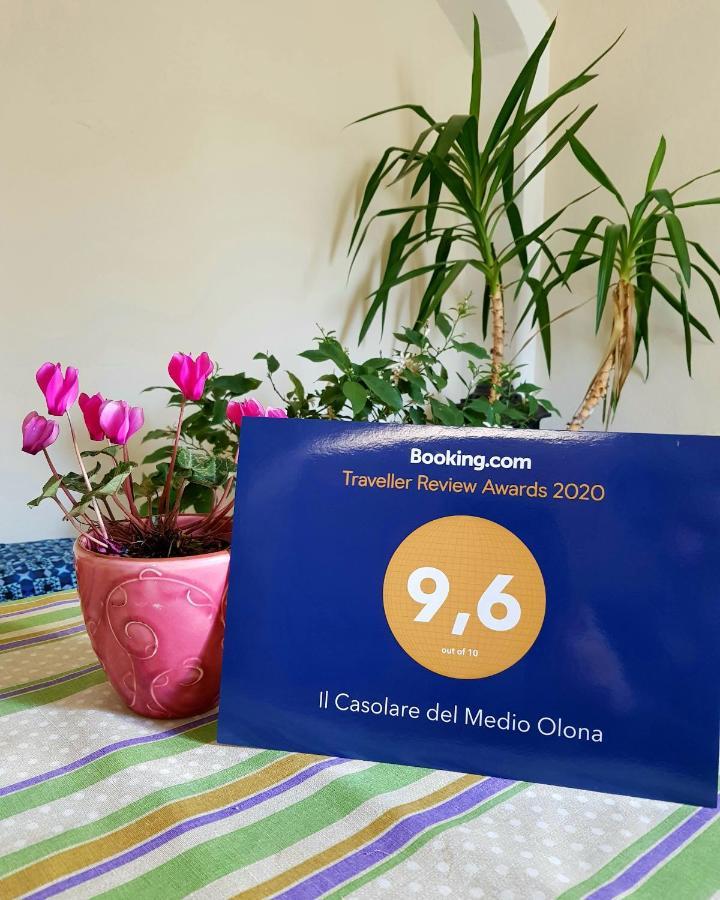 Il Casolare Del Medio Olona Bed and Breakfast Fagnano Olona Eksteriør billede