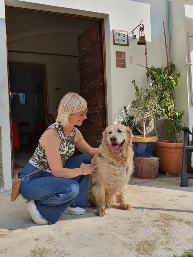 Il Casolare Del Medio Olona Bed and Breakfast Fagnano Olona Eksteriør billede
