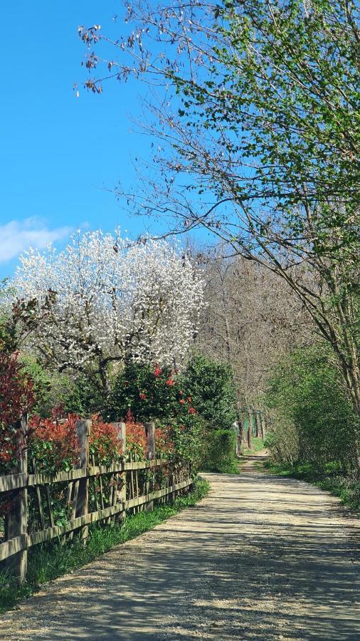 Il Casolare Del Medio Olona Bed and Breakfast Fagnano Olona Eksteriør billede